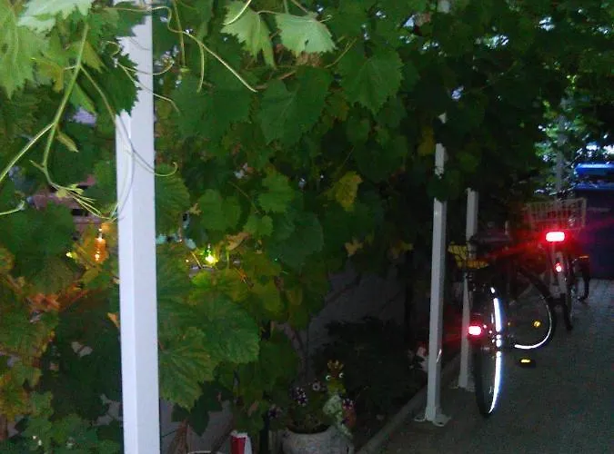 Appartement Magnolia Radolfzell am Bodensee